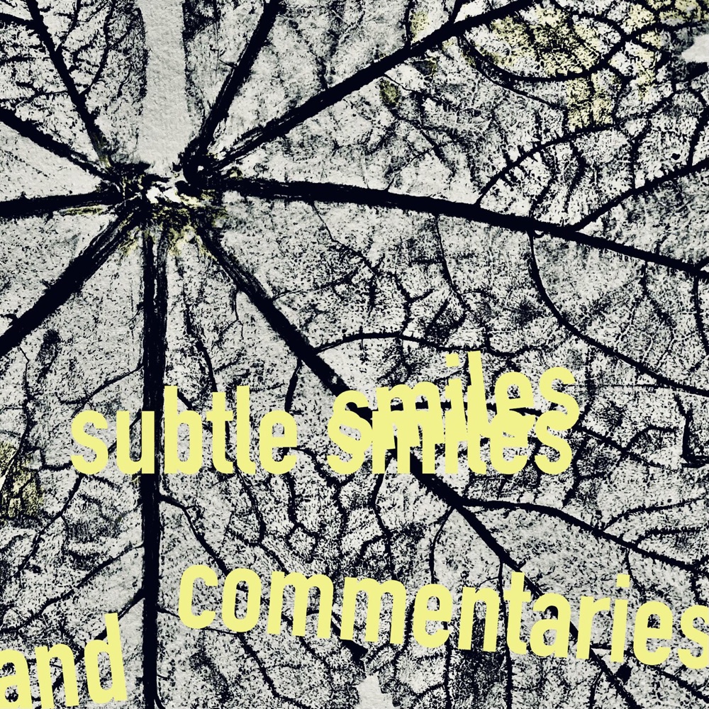 Tobias Guldbrandsen — Subtle Smiles and Commentaries
